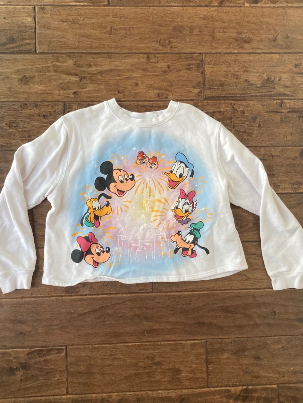 Mickey Mouse and Friends Fantasyland Castle Pullover Sweatshirt Women XL Disney